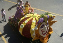The Stunning Flower Festival of Baguio City
